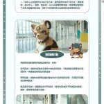 夏日海风节 宣传图集 1-Furry百科