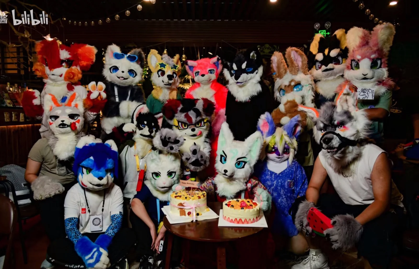 V3.0 庆生 宣传图集 1-Furry百科