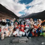四姑娘山避暑聚（2020） 宣传图集 1-Furry百科