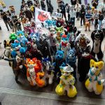 獸曜日·创 宣传图集 1-Furry百科