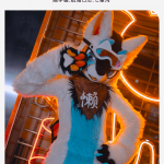 航海日志：七星湾