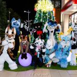 獸與騎士の快閃派對