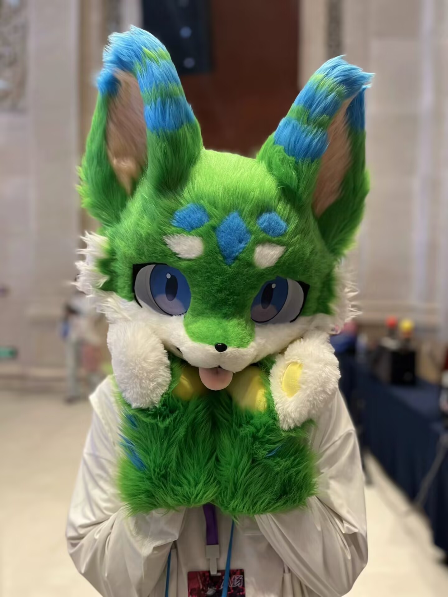 毛毛星期五(Fursuit Friday) 正文插图 1