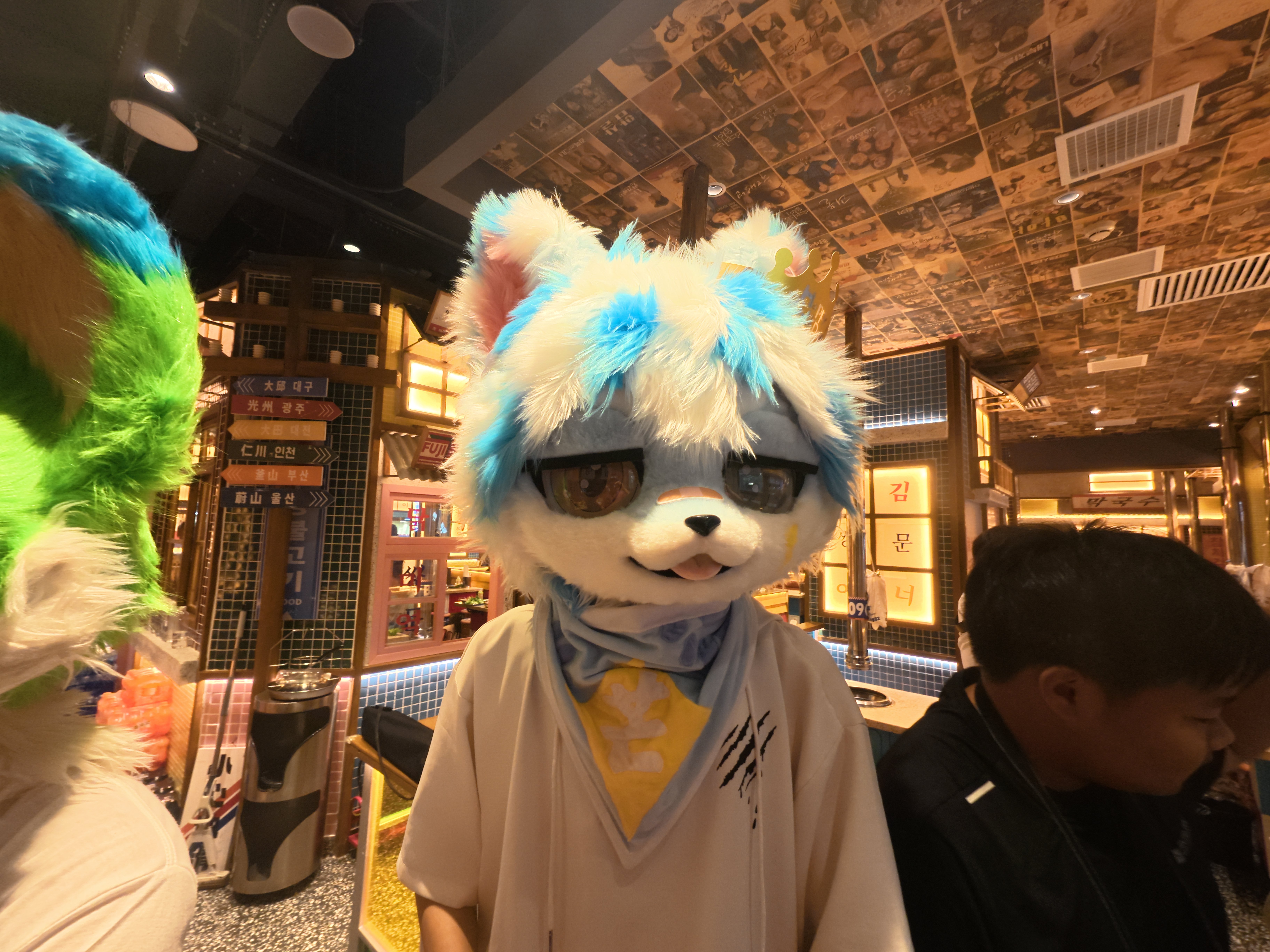 论坛话题  毛毛星期五-Furry百科