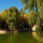 昌吉小聚 宣传图集 2-Furry百科