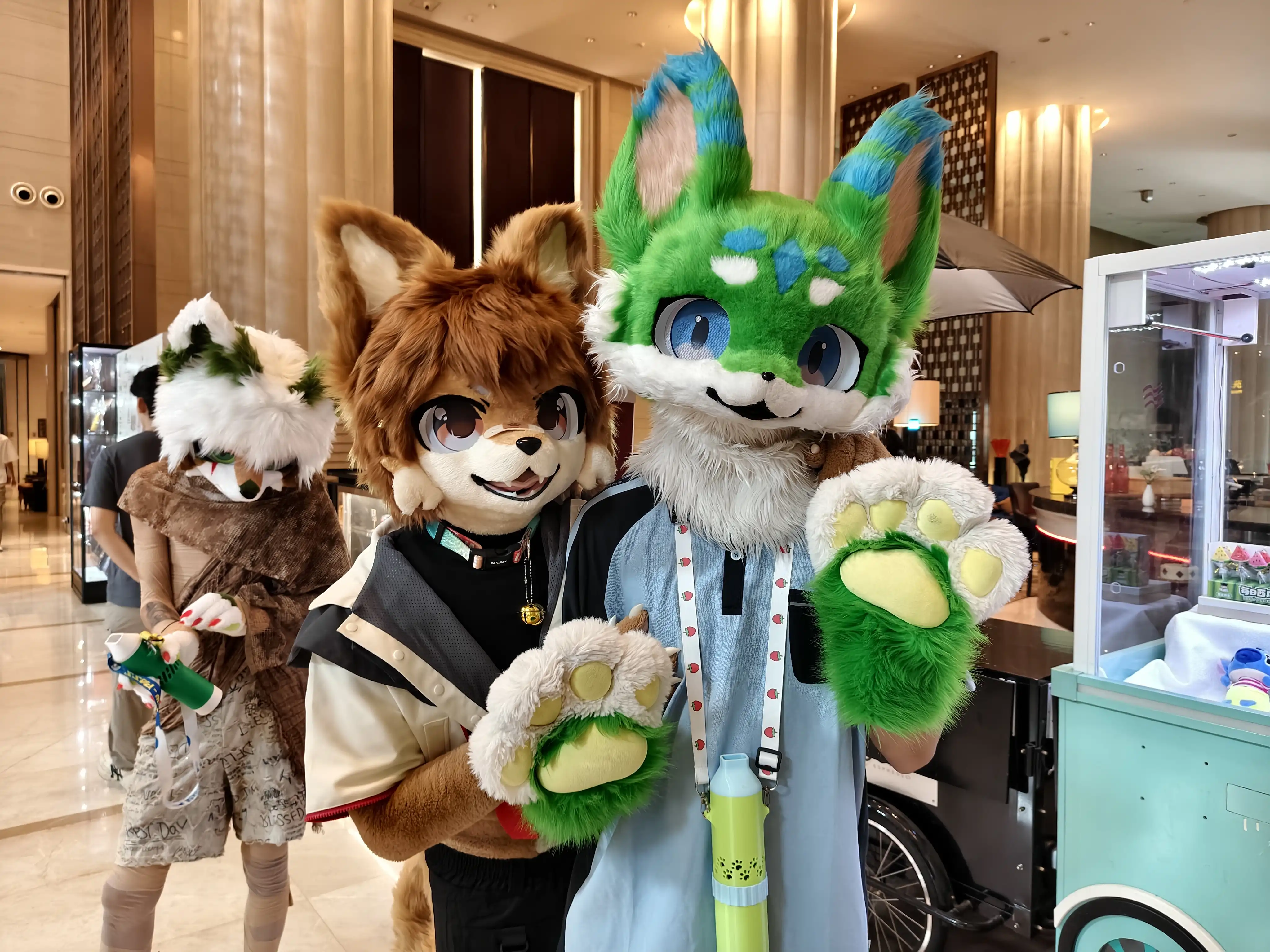 摄影返图-Furry百科