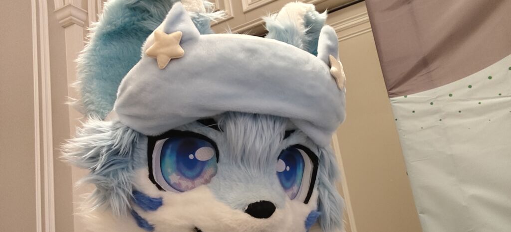 第一次在兽聚出毛-Furry百科