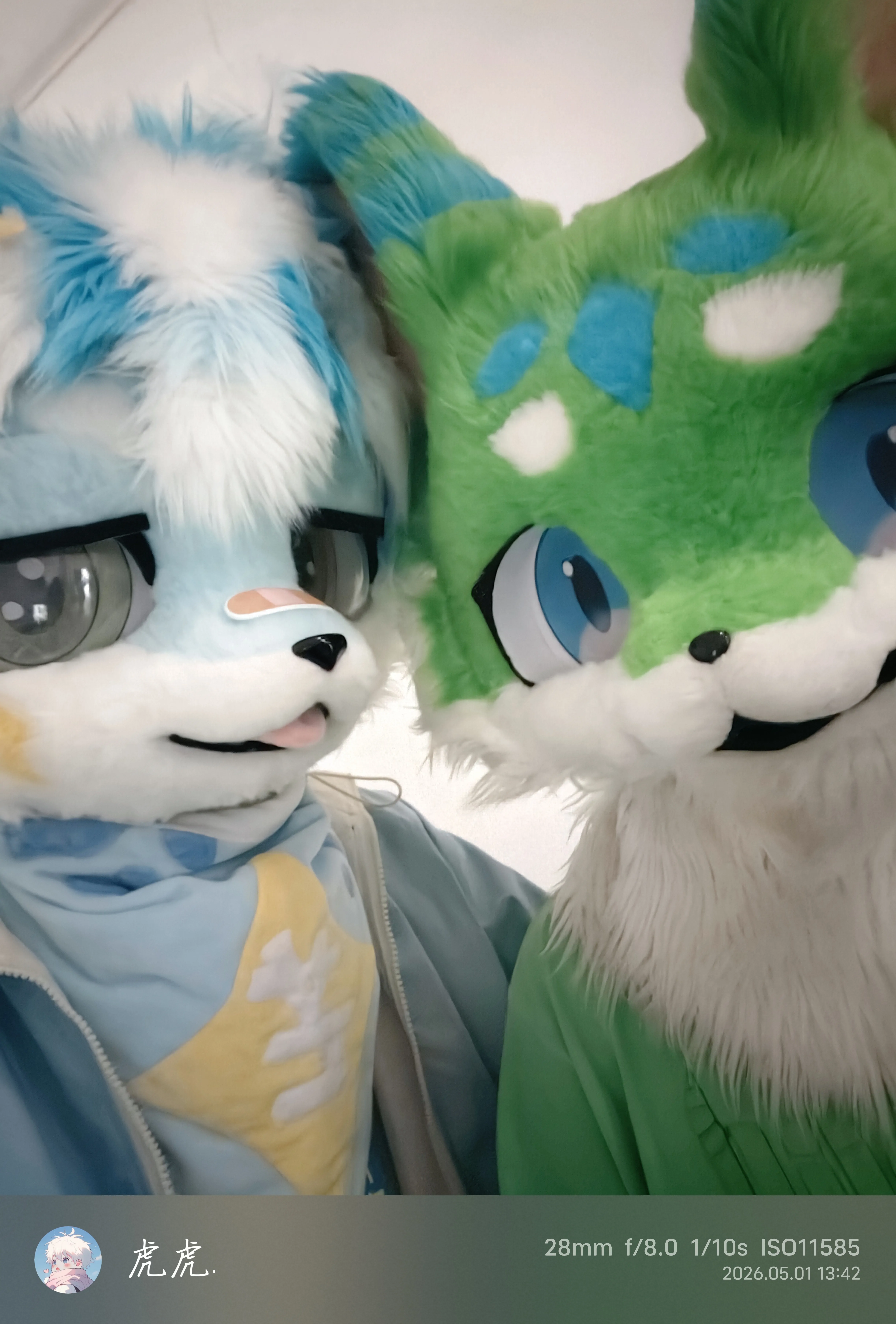 xiaohu的头像-Furry百科
